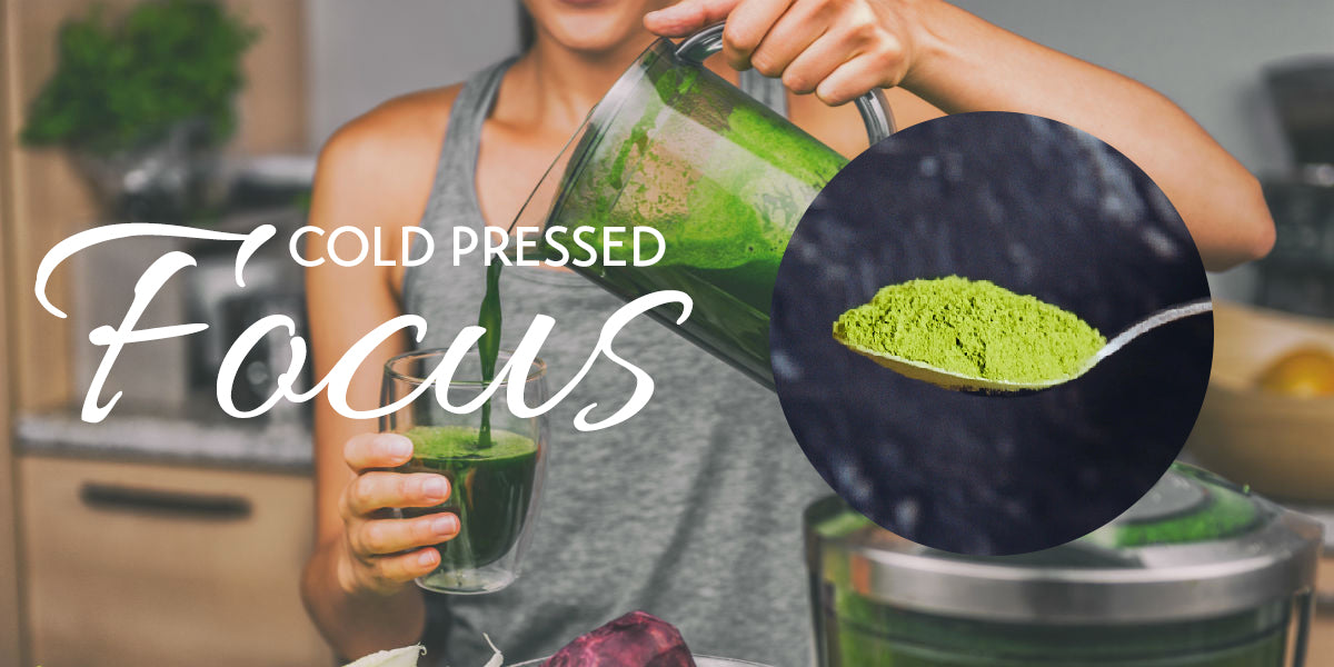 Cold Pressed SAMURAI MATCHA – Solstice Blends